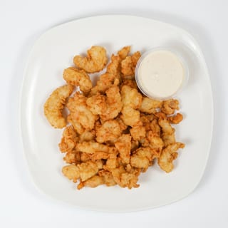 Alligator Bites